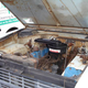 Image for article titled For $8,900, This 1966 Ford Bronco U13 Roadster Says Giddy Up